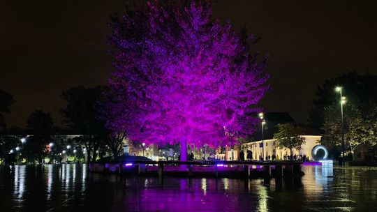 Lublin ma świecić na różowo. Jest ważny powód