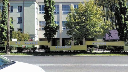Lublin: Marsz obrońców drzew