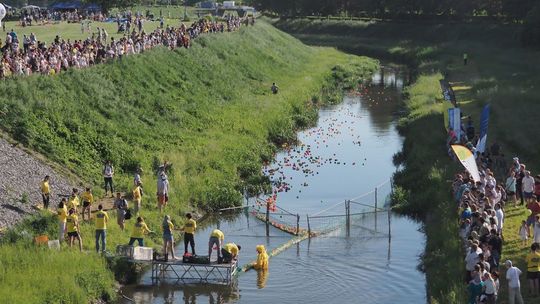 Lublin: Miasto podzieliło pieniądze na imprezy i projekty kulturalne [lista]
