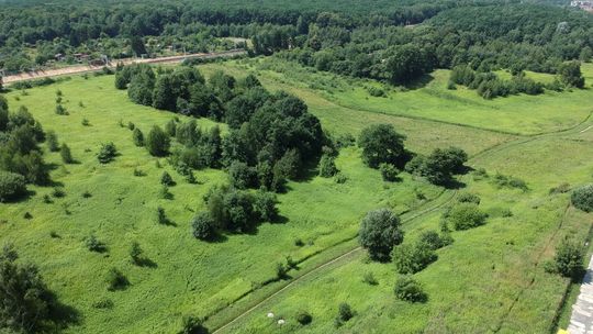 Lublin. Miejscy radni chcą ochrony wąwozu przy lesie