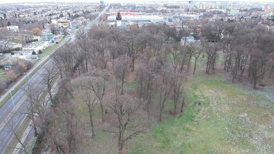 Lublin. Mieszkańcy chcą zasypać urząd wnioskami. Chodzi im o zabytkowy park