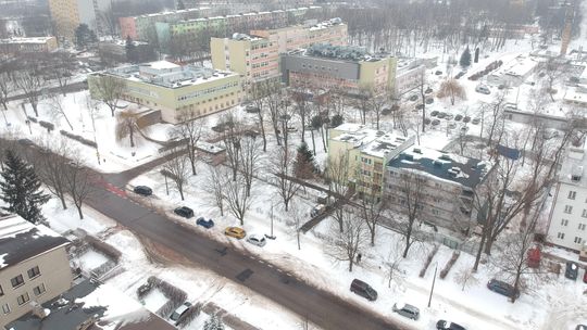 Lublin. Mieszkańcy kolejnej dzielnicy bronią drzew