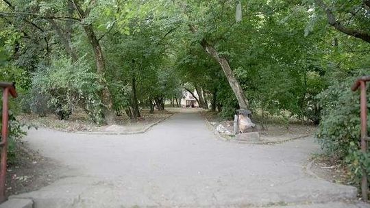 Lublin: Mieszkańcy stracą kolejny teren zielony w mieście. Wojsko sprzedaje skwer