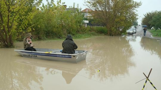 Lublin: Mieszkaniec prosi o zmiany. "Sytuacja taka stwarza bardzo często niebezpieczeństwo kolizji"