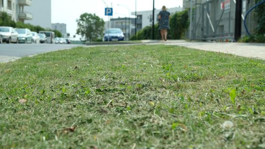 Lublin: Na tym osiedlu koszą trawę codziennie. "Działalność spółdzielni jest dla mnie niezrozumiała"