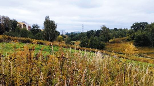 Lublin. Nie ma zgody Ratusza na budowę w wąwozie 