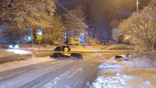 Lublin. Niespodziewani goście na przejściu dla pieszych