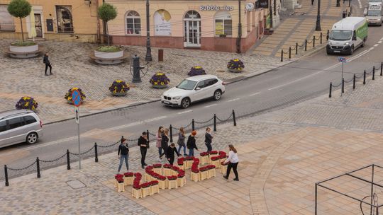 Lublin. Nietypowa instalacja z kwiatów. Będzie tylko do niedzieli