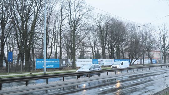 Lublin: Nowe bloki zamiast drzew. Deweloper dostał zgodę na zniszczenie gniazd chronionych ptaków
