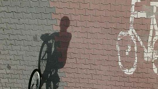 Lublin: Nowe ławki na ścieżce rowerowej wzdłuż Bystrzycy