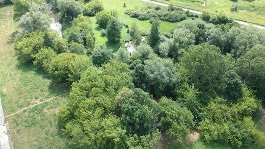 Lublin: Nowy park ma być sześć razy większy od Ogrodu Saskiego. Kończą się konsultacje społeczne