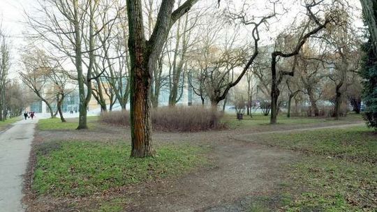 Lublin: Odnowią placyk koło CSK, postawią pomnik pierwszego rektora KUL