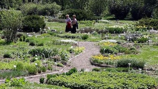 Lublin: Ogród Botaniczny czynny od soboty