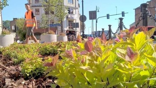 Lublin: Ogrodnicy w akcji. Gdzie będzie ładniej?