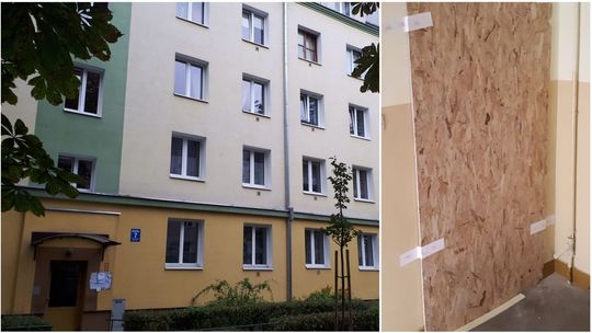Lublin: Opiekun zmarł, pies żywił się ciałem. Są wstępne wyniki sekcji zwłok
