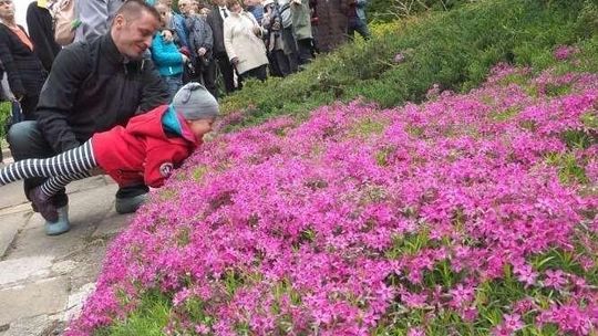 Lublin: Otwarcie Ogrodu Botanicznego po zimie 