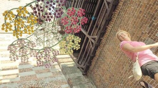 Lublin: Pająk zawisł na Bramie Krakowskiej