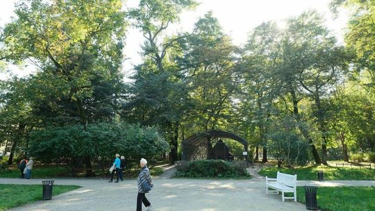 Lublin: Park zbyt angielski na włoskie orzechy. Wiewiórki z Ogrodu Saskiego będą zawiedzione
