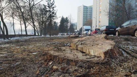 Lublin: Parking zamiast drzew przy ul. Tumidajskiego