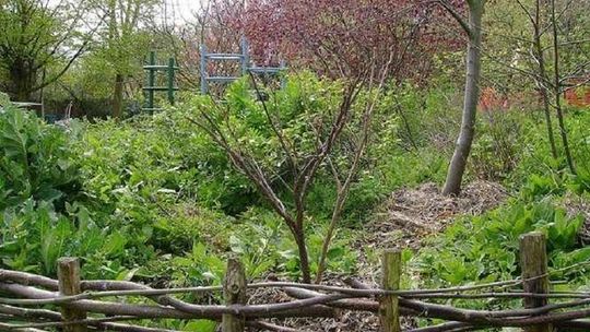 Lublin: Permakultura w mieście - wiosenne spotkanie