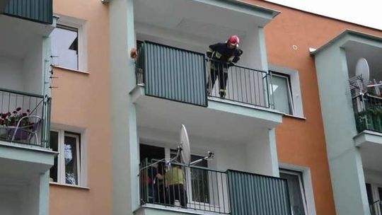 Lublin: Pies zaklinował się w oknie. Właściciel zostawił go na balkonie (wideo)