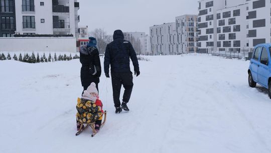 Lublin. Planują nową drogę. Połowa drzew do wycięcia