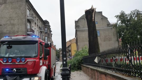 Lublin po nawałnicy. Kilkadziesiąt połamanych drzew, zniszczona sygnalizacja świetlna
