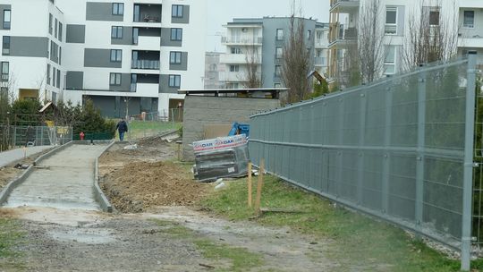 Lublin: Po protestach mieszkańców drzewo ocalało. Ale chodnik powstaje w bólach