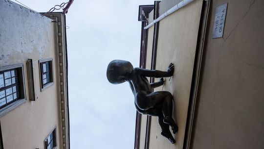 Lublin. Pomnik węgla, łąka na schodach, niemowlę na ścianie