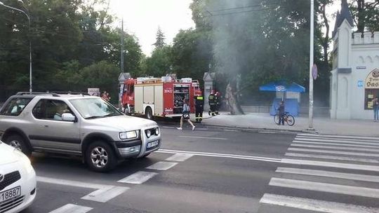 Lublin: Pożar drzewa przy wejściu do Ogrodu Saskiego. Ktoś je podpalił?