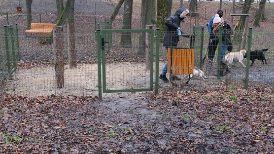 Lublin. Problem z wybiegiem dla psów w parku Ludowym. Jest zamknięty