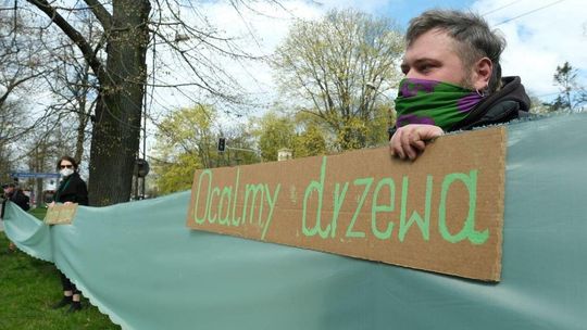 Lublin: Protest obrońców drzew. Mówią "nie" wycince na Al. Racławickich, ul. Lipowej i ul. Poniatowskiego [zdjęcia]