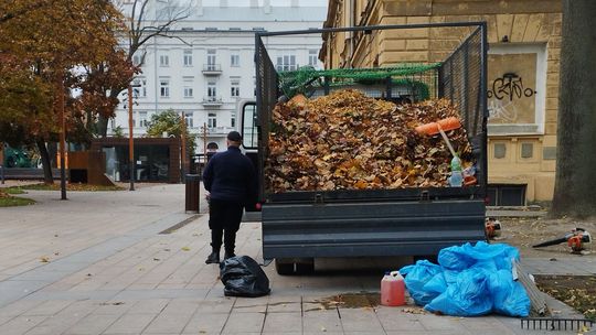Lublin. Przechodzą przez pl. Litewski i nie mogą się nadziwić. Zdmuchują liście z drzew?