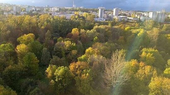 Lublin: Przedłuża się przetarg na odnowę parku Ludowego [zobacz projekt]