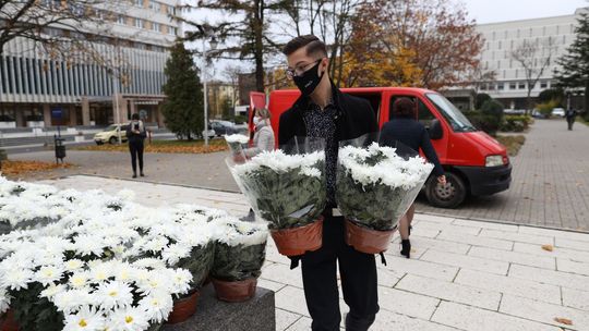 Lublin przedłuża zezwolenia ulicznym sprzedawcom chryzantem, a UMCS kupuje kwiaty