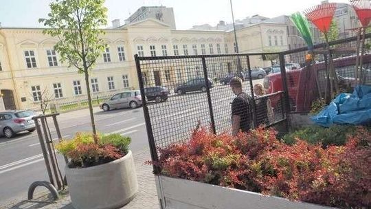 Lublin: Przybędzie zieleni i kwiatów na ul. Lubartowskiej