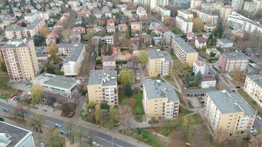 Lublin: Radna prosi o zajęcie się drzewami na tym osiedlu. Zagrażają mieszkańcom?