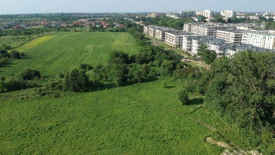 Lublin: Raport naukowców o górkach czechowskich jest już gotowy. Władze miasta milczą w tej sprawie