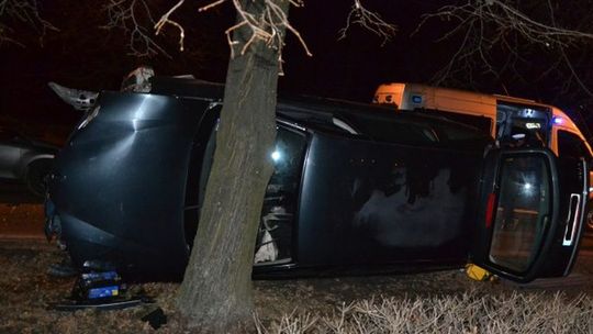 Lublin: Renault bokiem na drzewie (zdjęcia)