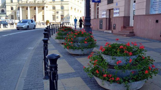 Lublin: Rośliny ozdobią kolejnych pięć miejsc