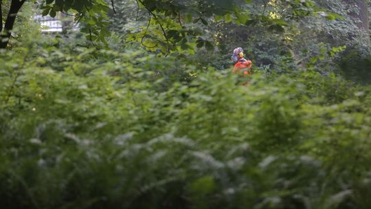 Lublin: Rusza wojna z krwiopijcami. Sprawdź gdzie będą opryski przeciwko komarom