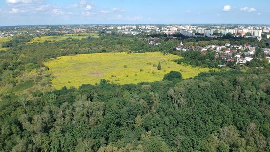 Lublin. Są postanowienia sądu w sprawie górek czechowskich