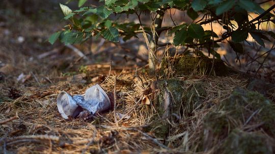 Lublin: Sąsiedzi ze Sławina będą sprzątać swoją dzielnicę