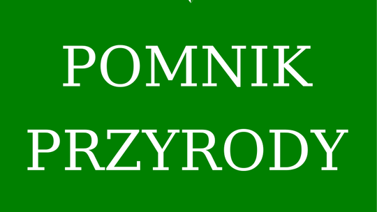 Lublin: Skreślają cztery pomniki przyrody