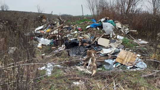 Lublin: Śmieci zawiózł w krzaki. Ale wśród nich strażnicy znaleźli adres