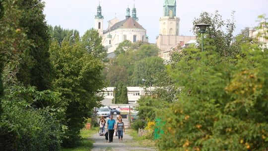 Lublin. Spore pieniądze dla ogrodów działkowych. Gdzie złożyć wniosek?