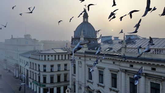 Lublin spowity mgłą. Zobacz jak magiczne jest miasto