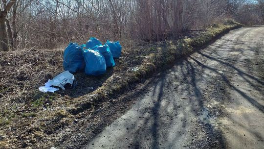 Lublin. Strażnik miejski pogrzebał w śmieciach i... skończyło się sporym mandatem