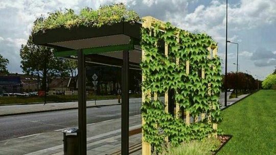 Lublin. Szykują wiatę za 72 tysiące złotych. Gdzie stanie? 