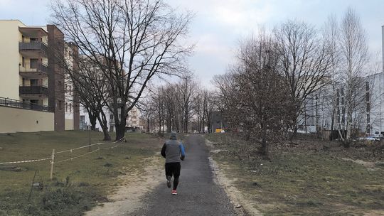Lublin: Tak zaprojektują część ul. Berylowej, że chodnik zygzakiem ominie zieleń